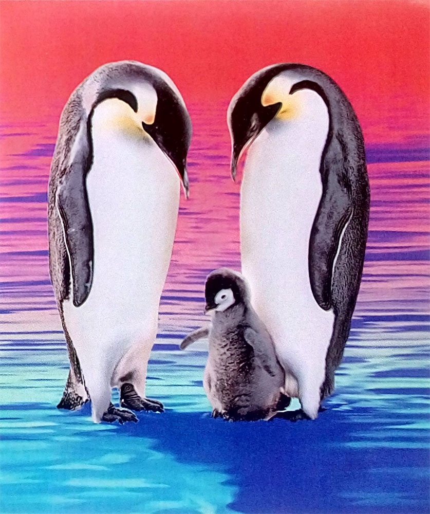 Selimut INTERNAL - Grosir Selimut Internal Motif Penguin